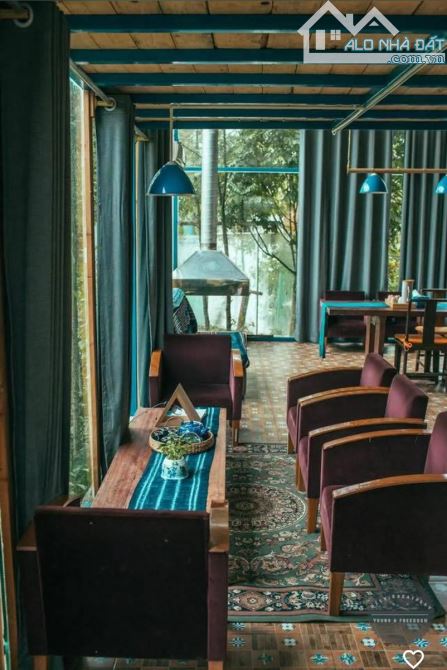 Bán biệt thự sân vườn siêu rộng 4.500 m², tính ra chưa đến 30 triệu một mét, - 4