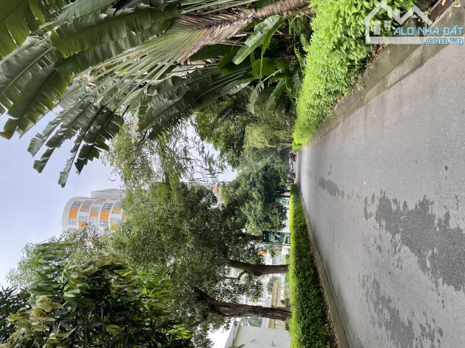 Bán Biệt Thự Đường Nguyễn Văn Linh. đối Diện Trường Đại Học Văn Hiến. Bình Chánh ( 14x20m) - 4