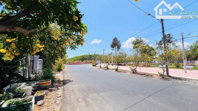 🏡 Đất gần 1000m² đối diện UBND TT Phước Hải – chỉ 7tr/m², cách biển 3km 🌊 - 4
