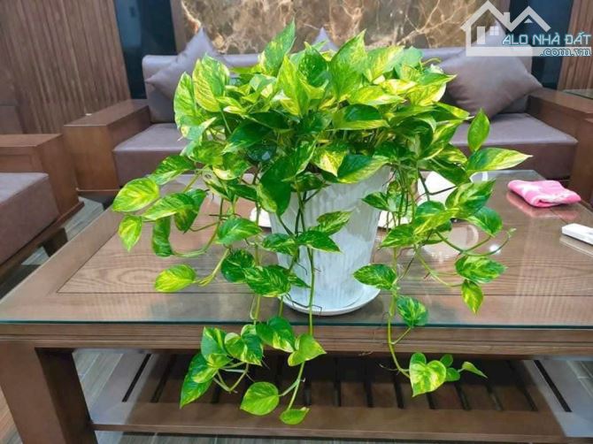 SIÊU HÓT - BÁN NHÀ NGỌC THỤY DÂN XÂY- 39M², MT RỘNG – CHỈ 7.X TỶ , - 4