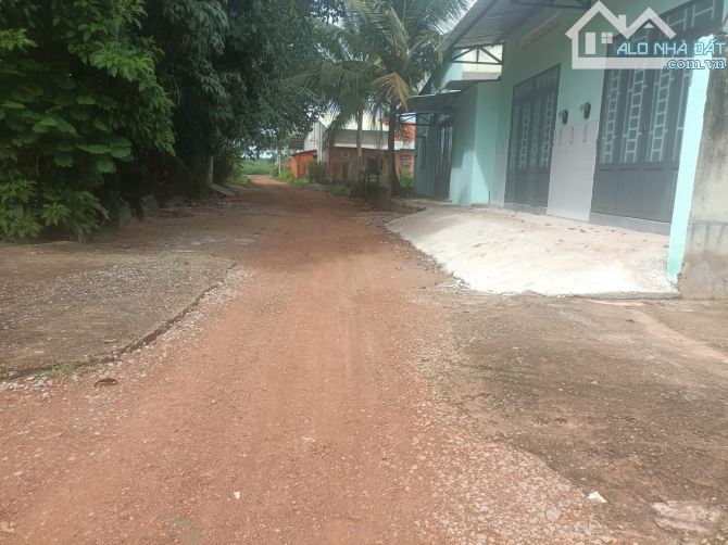 Bán đất đối diện cụm công nghiệp An Lập Dầu Tiếng 6x36m, 950 triệu - 4