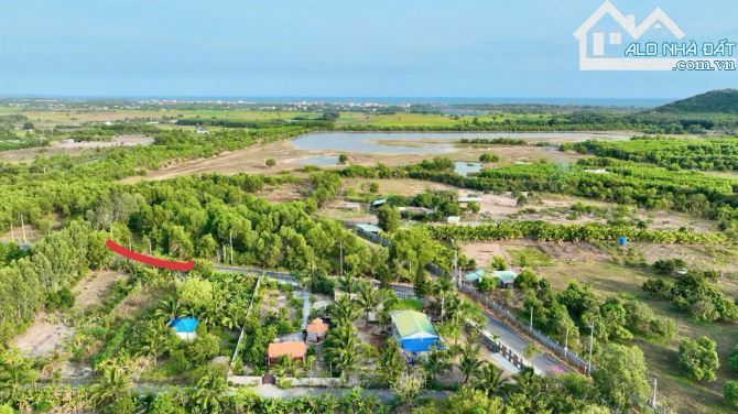🏞️ Thị Trấn Phước Hải – Đối Diện Hồ Sở Bông – View Núi Minh Đạm – 919m² – Giá 6,4 Tỷ - 5