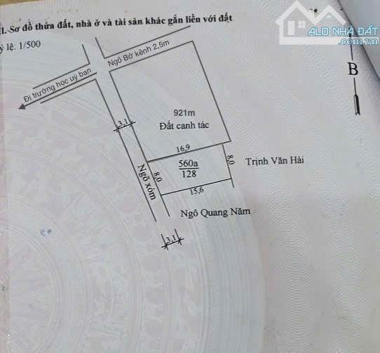 Cần chuyển nhượng lô đất 1050m2 Minh Tân Kiến Thụy Hải Phòng - 5