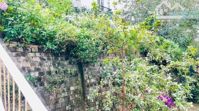 🏡Bán Villa Biệt Thự Mặt Tiền Tô Hiến Thành,p3 Đà Lạt–Có Hồ Bơi, Thu Nhập 540 Triệu/Tháng - 5