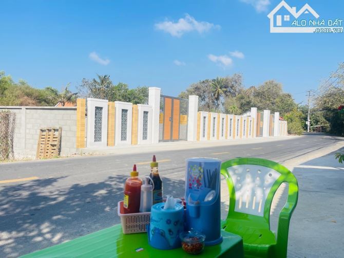 🏡 Bán Đất Góc 2 Mặt Tiền Long Mỹ - TT Phước Hải - BRVT - 167m² - Giá Siêu - 5
