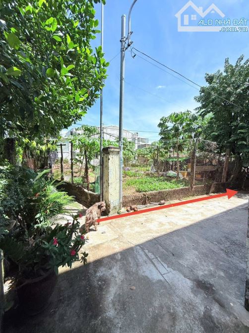 Bán lô đất 2 mặt kiệt ô tô Trường Chinh gần Vũ Lăng- Dân cư đông đúc , đất đẹp sạch sẻ - 5