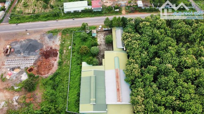 CẦN TIỀN BÁN GẤP KHO XƯỞNG KIÊN CỐ – VỊ TRÍ ĐẸP, MẶT TIỀN TỈNH LỘ 1 BUÔN ĐÔN - 5