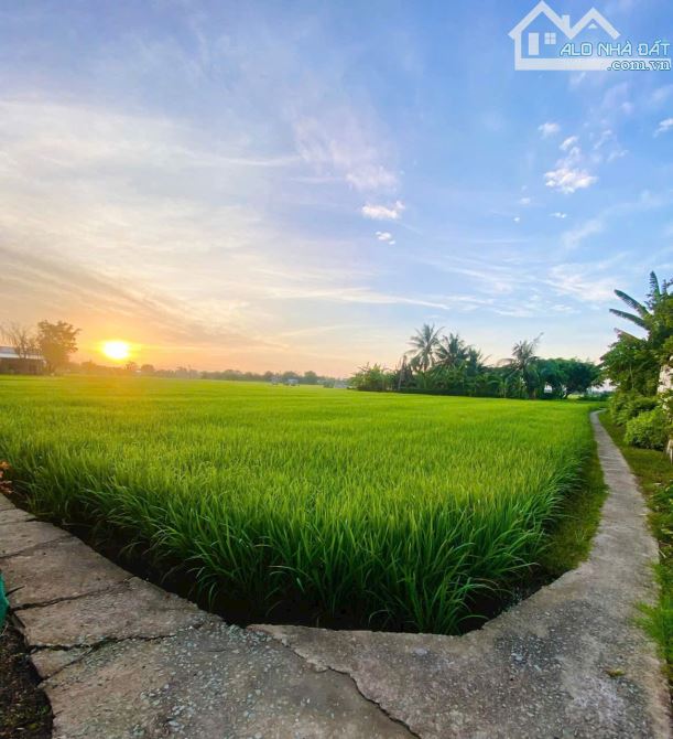 87,2m2 đất thổ vuông vứt sát nhựa 225 triệu tân trụ_Long an giá rẻ đầu tư sổ hiện đường đ - 5
