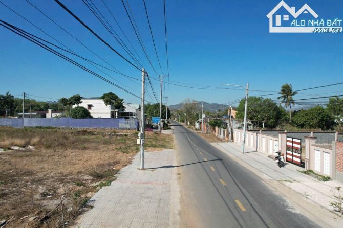 🏖️ Mặt Tiền Bùi Công Minh – Phước Hải – 2 Lô 449m² & 423m² – Cách Biển 1km - 6
