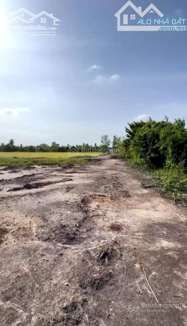 Bán 1759m2 Đất Thổ Cư Mặt Tiền Sông Vàm Cỏ Đông - 6
