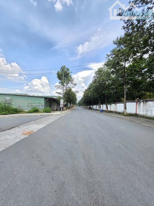 4Tỷ650__126m2 🔥👉 ngay Khu Di Tích Hố Lang__Lô góc 2 mặt tiền kinh doanh đường Hố Lang - 6