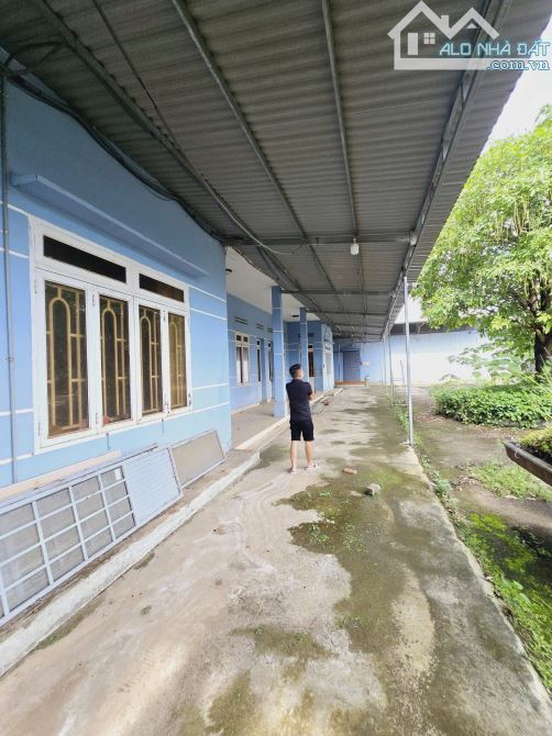 CẦN TIỀN BÁN GẤP KHO XƯỞNG KIÊN CỐ – VỊ TRÍ ĐẸP, MẶT TIỀN TỈNH LỘ 1 BUÔN ĐÔN - 6
