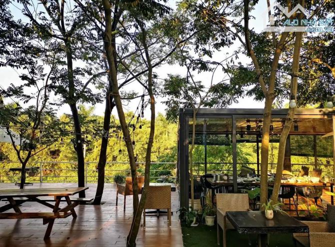 Bán biệt thự sân vườn siêu rộng 4.500 m², tính ra chưa đến 30 triệu một mét, - 7