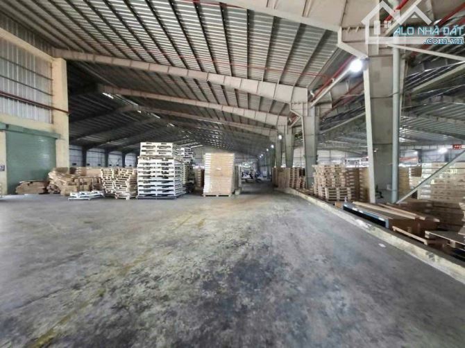 X113 CẦN CHUYỂN NHƯỢNG NHÀ MÁY GẦN 8Ha SX GỖ CỔ PHẦN 100% bao gồm máy móc thiết bị tại Biê - 8