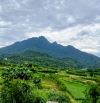 Đất rẻ Minh Quang, Ba Vì, 558m, 150m tc, tựa núi, view đồng, đường oto thông, chỉ 1.55tỷ