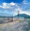 🌅Siêu Vip Gần Biển Phước Hải🌾689m²–300TC–View Núi & Cánh Đồng–Chỉ 4,2 TỶ