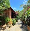 🏡 Bán Nhà Vườn Gỗ Sát Biển Phước Hải 1584m², Đường Nhựa, View Sân Vườn, Giá Tốt 🌴