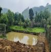 1.216M2 ( 5,5 TỶ ) VIEW CÁNH ĐỒNG TRONG ĐẤT CÓ AO