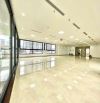 Khúc Thừa Dụ sàn 220m² lô góc mặt tiền 45m hoa hậu phố view phố đẹp, giá chỉ 39 triệu