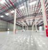 📢 CHO THUÊ NHÀ KHO 810M² MỚI XÂY TẠI CẨM LỆ – GIÁ CHỈ 40 TRIỆU/THÁNG! 🚛🔥