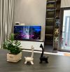 Bán nhà 3 Tầng Mới full nội thất - lô góc kiệt oto hiếm có đường Hoàng Diệu