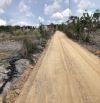 🌳 1 Mẫu Đất Cây Lâu Năm TT Phước Hải – Gần Biển – Sổ Sẵn – Giá Tốt 🌊
