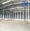 Cho thuê xưởng 10.500m2 trong KCN Phú Mỹ, Bà Rịa - Vũng Tàu giá 956tr/tháng