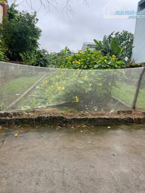 Bán mảnh đất 55M SIÊU ĐẸP TRỤC CHÍNH KINH DOANH ÔTÔ TRÁNH THƯ PHÚ, THƯỜNG TÍN