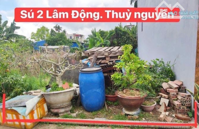 Lâm Động có lô này đẹp gần đường 203 đi vào:  👉 Vị trí tại thôn Sú 2. Lâm Động... trong k