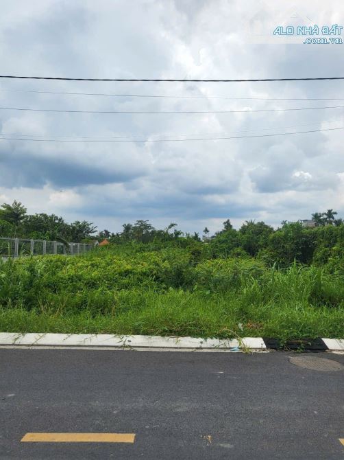 Bán Đất Mặt Tiền Đường Nhựa Kênh T2 Bà Điểm Hóc môn - 2