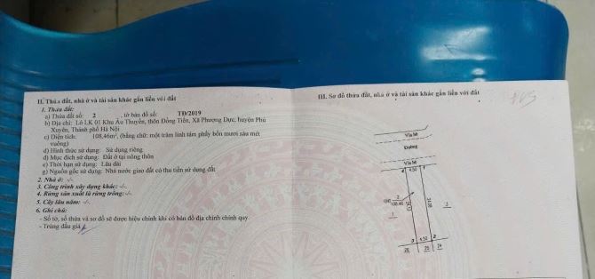Đấu giá Âu thuyền đẹp long lanh cho quý anh chị