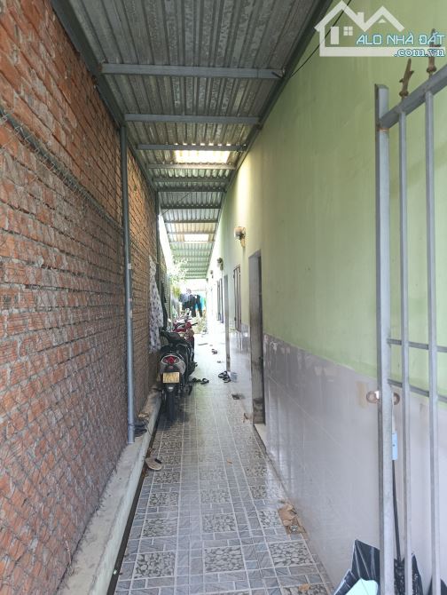 ✅BÁN ĐẤT TẶNG DÃY TRỌ NGON QUÁ.
