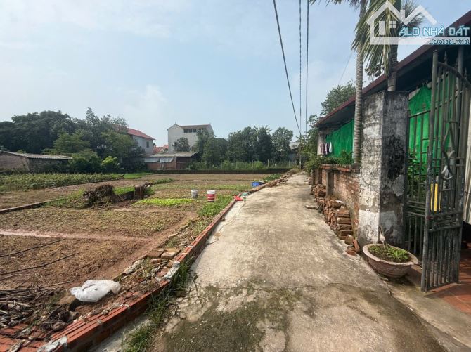 🔥 Bán nhanh 88m² Thượng Cốc – Gần Sunshine, Phúc Thọ – Giá chỉ hơn 2 tỷ! 🔥