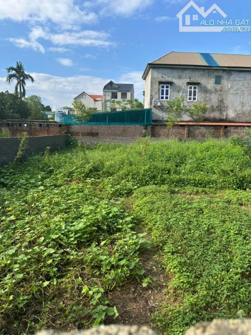 Bán đất khoáng nóng Bảo Yên, Thanh Thuỷ, Phú Thọ, 203m2, mặt tiền 10m - 2