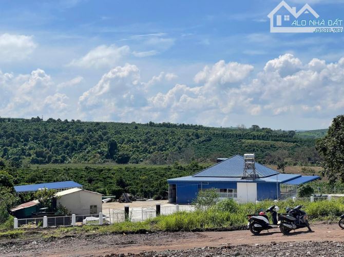 BÁN 1000m² ĐẤT ĐẸP – GIÁ 630 TRIỆU - Vị trí: Tân Hà, Lâm Hà, Lâm Đồng