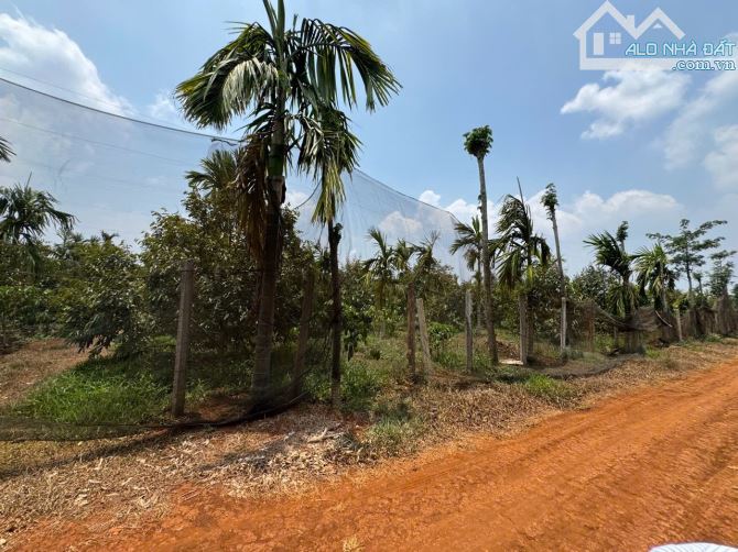 Bán đất giá đầu tư sổ riêng Cuor Đăng
