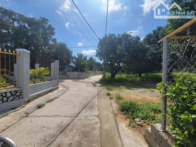 Bán đất full thổ cư Cam Lâm 1480m2 đường ô tô giá 11 tỷ