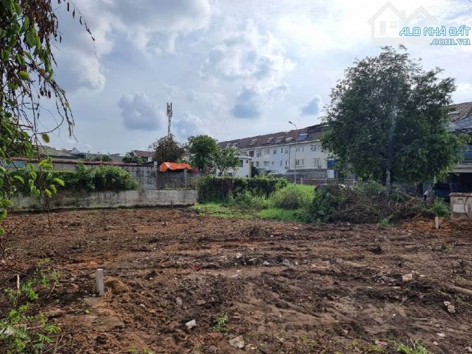 🌳BÁN LÔ ĐẤT LỚN HẺM XE TĂNG ĐƯỜNG 12 HIỆP BÌNH PHƯỚC THỦ ĐỨC🌳