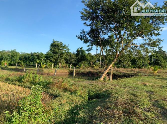 Bán 2,4 sào thổ cư 400 view ruộg cách đường nhựa 700m buôn Tiêu Xã Eatieu 1,2 tỷ