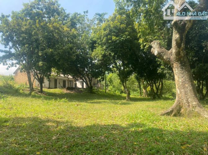 TẶNG 4000 M ĐẤT VƯỜN NGOÀI SỔ KHI MUA : 6000 M 0TN 400 M LƯƠNG SƠN       HÒA BÌNH  - GIÁ C