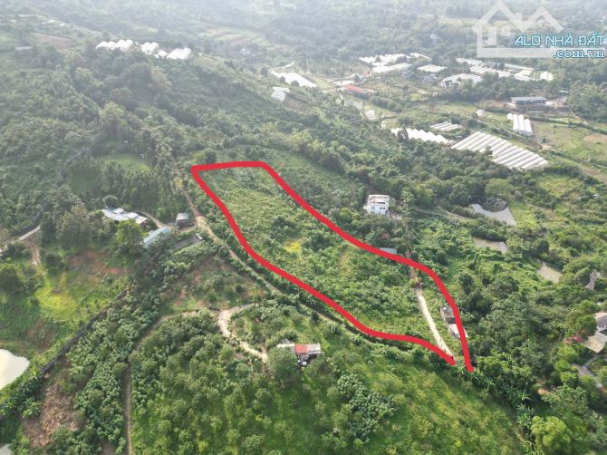 Cắt lỗ! lô đất 7700m mặt đường 200m tại khu làng châu âu- yên bình giá chỉ vài triệu