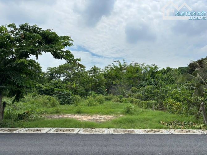 224m2 (10x24m) bán lỗ giá 800TR ngay TT Củ Chi, mặt tiền đường Nguyên Văn Ni