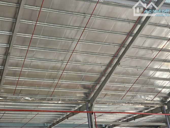 Cho thuê kho 2.800m² PCCC tự động, mới xây tại Trần Đại Nghĩa,Bình Tân