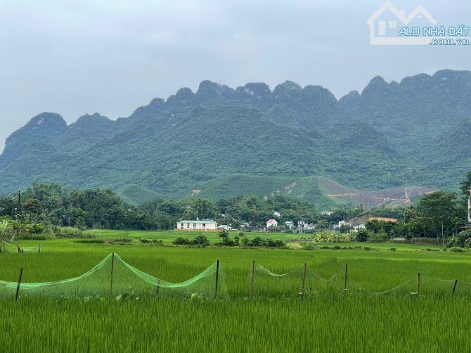 Gấp Gấp chủ ngộp tiền cần bán gấp 700m ngay gần khu DL Suối khoáng kim Bôi Hòa Bình