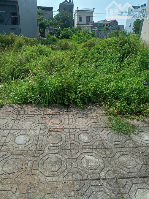 Bán đất thị trấn Hưng Hà Thái Bình, phân lô ô tô vào đất giá đầu tư