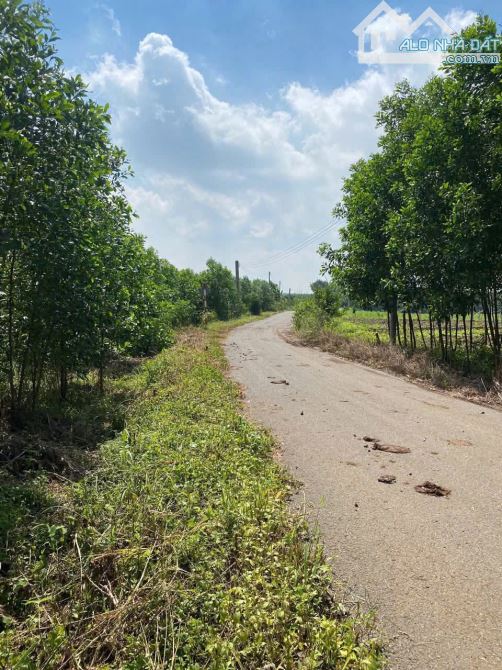 🌳 CHÍNH CHỦ GỬI BÁN – ĐẤT 8.000M² (8 SÀO) TẠI BÌNH GIÃ – BÌNH TRUNG CŨ 🌳