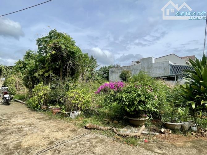 BÁN ĐẤT NGUYỄN DUY TRINH (6x20) NGAY TRUNG TÂM, ĐƯỜNG NGANG MAI HẮC ĐẾ, Y NGÔNG PHƯỜNG ÀNH