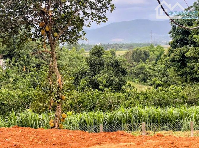 Bán 780m2 với 200m đất ở, Minh Quang, Ba Vì, gần K9, TL414, oto, mt 20m, nở hậu, chỉ 2.6tỷ - 1