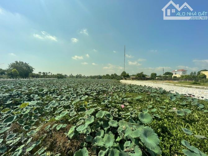 bán 94m đất trục chính khu hồ sen linh sơn, đường 14m thông kinh doanh rất tiềm năng - 1