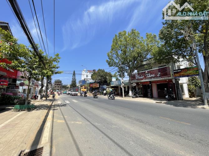 Hàng đẹp: bán lô đất mặt tiền Nguyễn Đình Chiểu, phường Lâm Viên, 357m2 ngang 12m - 1